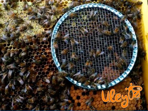Колпачок круглый металический на 120 мм | Зображення 4