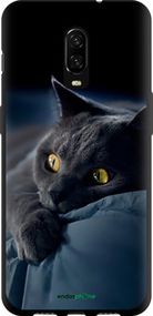 Чохол на OnePlus 6T Димчастий кіт "825b-1587-2448"