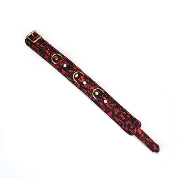 Ошейник с поводком Liebe Seele Victorian Garden Collar with Leash sexstyle | Зображення 3