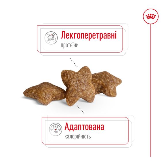 Корм Royal Canin Mini Adult сухой для собак мелких пород 8 кг | Зображення 3