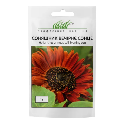Соняшник Вечірнє сонце 1гр Професійне насіння