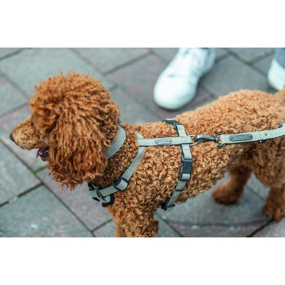 Шлея Trixie CityStyle H-harness для собак бавовна XS–S 30–44 см 10 мм світло-сіра | Зображення 1