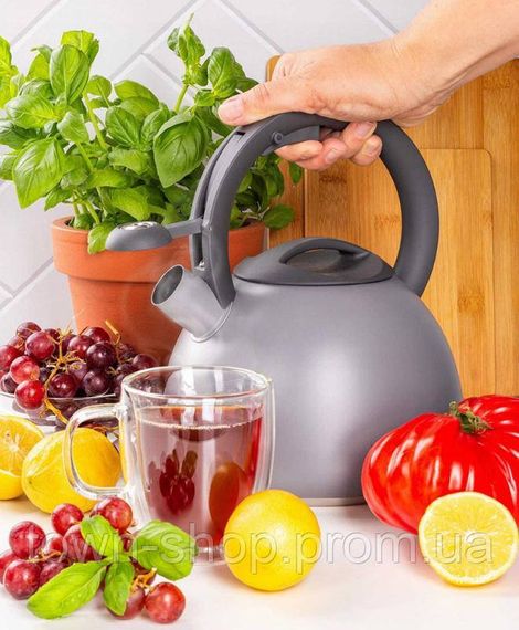 Чайник Ofenbach Silver 2.7л нержавеющая сталь, со свистком, серый матовый NB-100321 | Зображення 2