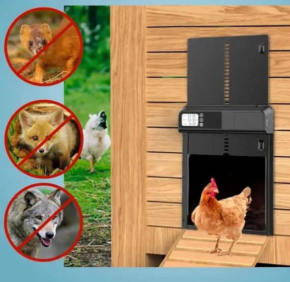 Автоматические двери для курятника с ЖК-дисплеем и таймером, заслонка/ворота для сельскохозяйственных птиц от