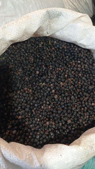 Ялівець (ягода сира), 500г.