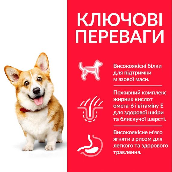 Сухой корм Hill's Science Plan для взрослых собак малых и миниатюрных пород с ягненком и рисом 6 кг | Зображення 2