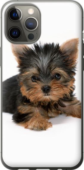 Чехол на iPhone 12 Pro Max Щенок йоркширского терьера "931u-2054-17620"