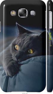 Чохол на Samsung Galaxy E5 E500H Димчастий кіт "825c-82-2448"