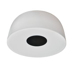 Светильник настенно-потолочный светодиодный накладной BL-841C/32W WW WH