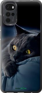 Чохол на Motorola G22 Димчастий кіт "825u-2681-2448"