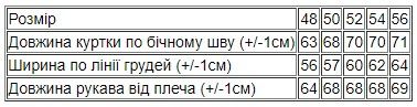 Куртка чоловіча (демісезон) Носи своє 52 Синій (p-15405-176393) | Зображення 5