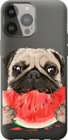 Чохол для Apple iPhone 13 Pro Max з силікону FCh_085408