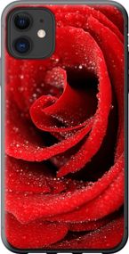 Чехол на iPhone 11 Красная роза "529u-1722-17620"