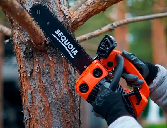 Пила ланцюгова бензинова Sequoia (SPC0812) | Зображення 2