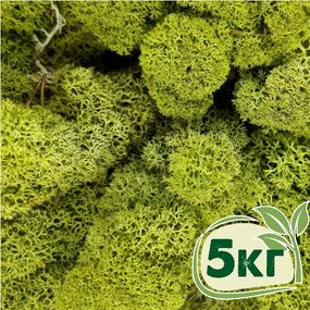Стабілізований мох ягель Зелений світлий 5 кг