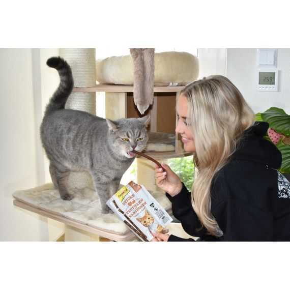 Ласощі GimCat м’ясні палички для котів з індичкою та кроликом 4 шт | Зображення 2