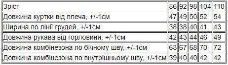 Комплект для дівчинки (комбінезон із курткою) зима Носи своє 86 Рожевий (p-15452-176815) | Зображення 4