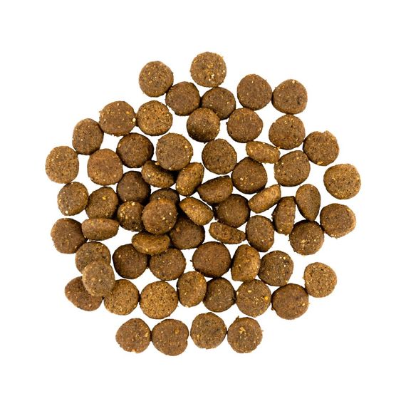 Корм сухий Savory Puppy rich in Fresh Turkey and Chicken для цуценят всіх порід зі свіжою індичкою і куркою 3 кг | Зображення 1