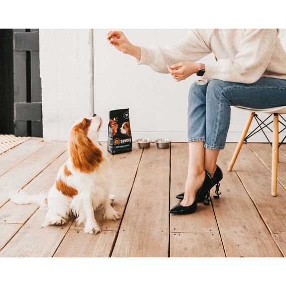 Корм сухий Savory Puppy rich in Fresh Turkey and Chicken для цуценят всіх порід зі свіжою індичкою і куркою 1 кг | Зображення 4