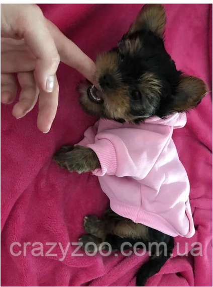 Худи для собак и котов EcoToys Pink S розовое A: 21 см B: 29 см C: 22 см S-7063 | Зображення 2