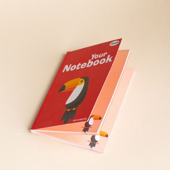 Блокнот 4Profi Artbook red 64 листа формат B6 50278 | Зображення 1