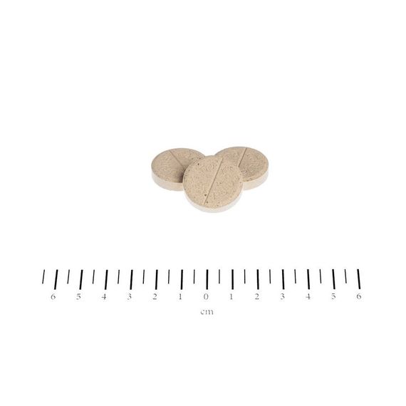 Витамины Canina Biotin Forte Tabletten для собак, интенсивный курс для шерсти, 200 г (60 табл) | Зображення 1