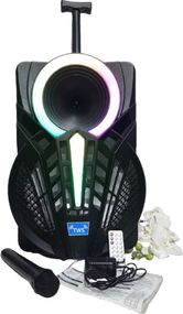 Акустична система з високою потужністю 300 Вт XPRO GZ-W1312 12 (MER-15680_2762)