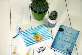 Косметичка женская Ананас 20х12 см (K_TRO045)