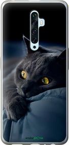 Чохол на Oppo Reno 2Z Димчастий кіт "825u-1867-2448"