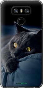 Чохол на LG G6 Димчастий кіт "825u-836-2448"