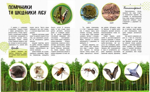 Дитяча книга " Світ і його таємниці: Життя лісу" 740002 укр. мовою | Зображення 1