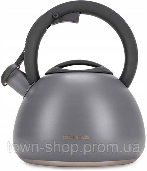 Чайник Ofenbach Silver 2.7л нержавеющая сталь, со свистком, серый матовый NB-100321 | Зображення 1