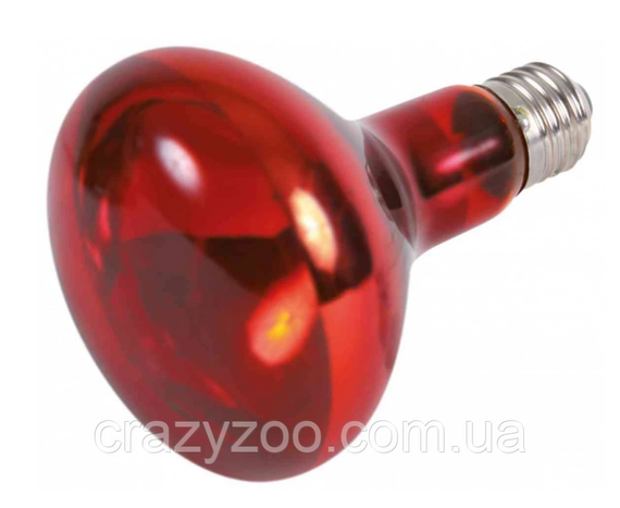 Лампа Trixie інфрачервона 100W 4011905760971 | Зображення 1