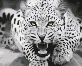 Хижак в русі