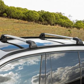 Поперечины на интегрированные рейлинги Strong V2 120 см (2 шт) Серый для BMW X3 F-25 2011-2018 гг