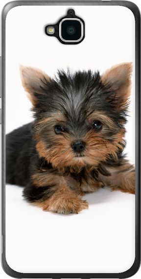 Чехол на Huawei Y6 Pro Щенок йоркширского терьера "931u-355-17620"