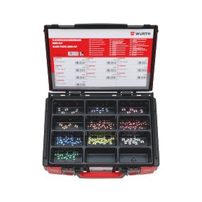 Набір запобіжників MINI FLP, 100 шт.