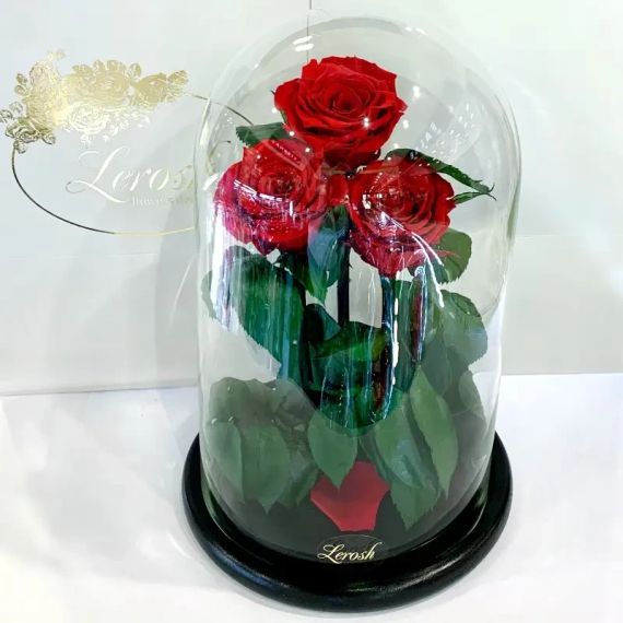Троянди в колбі для декору, Декоративні троянди в скляній колбі   знижка