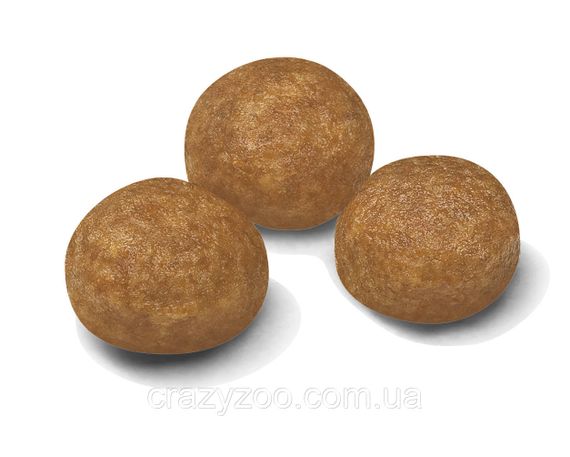 Сухой полнорационный корм Royal Canin X-Small Adult для собак мелких пород от 10 месяцев 1,5 кг | Зображення 1