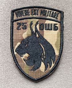 Шеврон 25 ОШБ / ОШП  (мультикам)