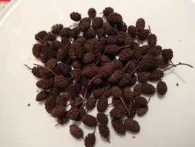 Вільхи (шишки), 100г.