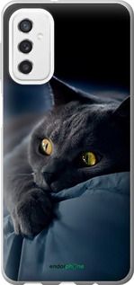Чохол на Samsung Galaxy M52 M526B Димчастий кіт "825u-2490-2448"