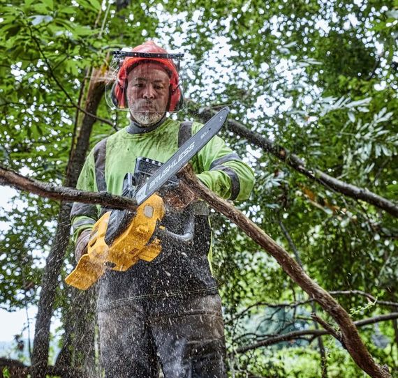 Акумуляторна міні-пилка DeWalt з АКБ та ЗП DCMCS575X1 | Зображення 2