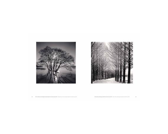 Книга Michael Kenna: Trees / Arbres (Signed) | Зображення 2