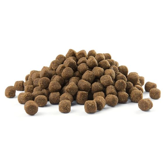 Сухий корм для щенят з лососем Opti Life Puppy Sensitive, 12.5 кг | Зображення 1