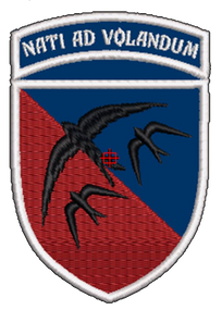 Шеврон Nati Ad Volandum