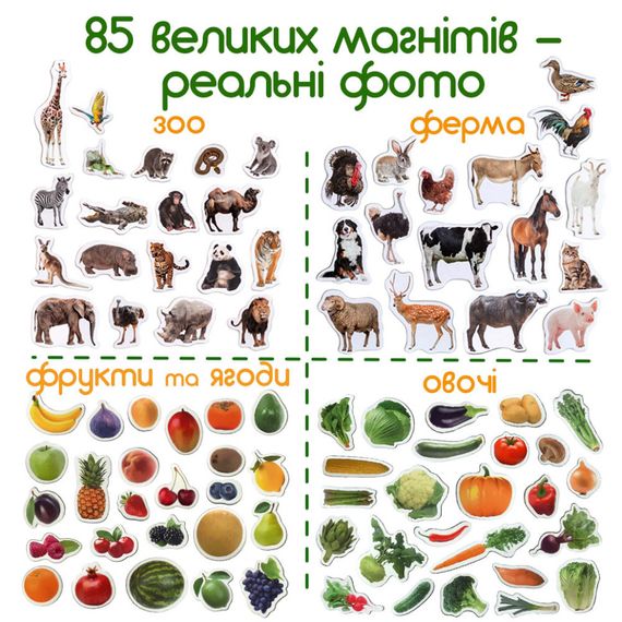 Набор магнитов Magdum "Детский мир" ML 4031-61 EN | Зображення 1