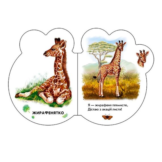 Картонная книжечка для самых маленьких Малыши : В зоопарке 411018 аудио-бонус | Зображення 1