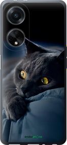 Чохол на Oppo A98 Димчастий кіт "825u-3115-2448"