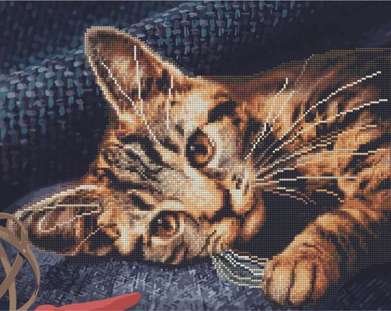 Бенгальська кішка